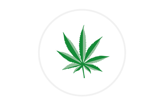Ikon: Cannabis Blatt